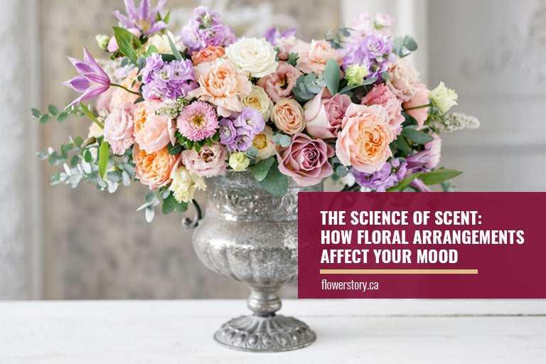 The Science of Scent: How Floral Arrangements Affect Your Mood - Toronto  Flower Story