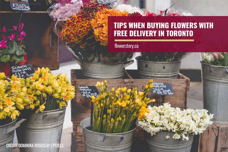 Tips When Buying Flowers with Free Delivery in Toronto
