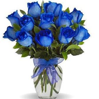 Blue Rose Arrangement (1 dozen blue roses in vase) - Flower Story