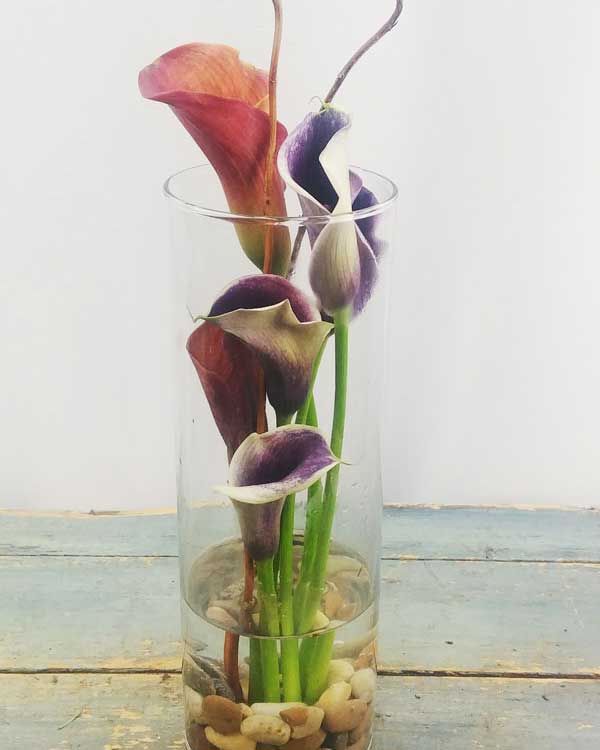 ZEN-SERENITY - Flower Story