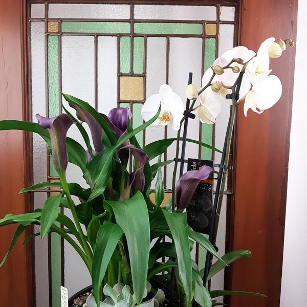 Custom Design Planter Garden - 2 (Orchid, Calla Lillies, Succulent) - Flower Story