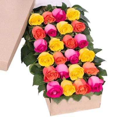 Two Dozen Boxed Roses (Red, Pink, Rainbow, Blue, Purple, Mixed, White, Yellow) - Flower Story