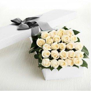 Two Dozen Boxed Roses (Red, Pink, Rainbow, Blue, Purple, Mixed, White, Yellow) - Flower Story