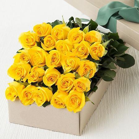 Two Dozen Boxed Roses (Red, Pink, Rainbow, Blue, Purple, Mixed, White, Yellow) - Flower Story
