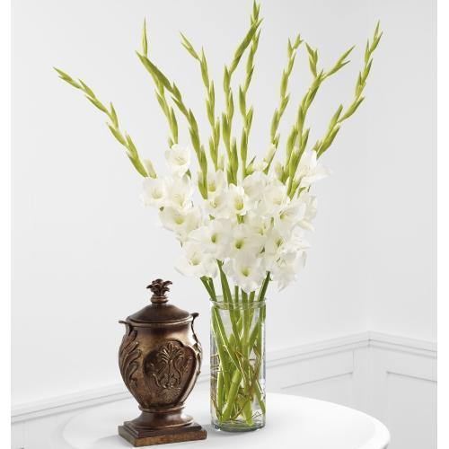 At Peace Bouquet with white gladiolus in clear glass cylinder vase Toronto delivery