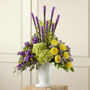 Arrangement - The Affection??Arrangement J-S32-5018