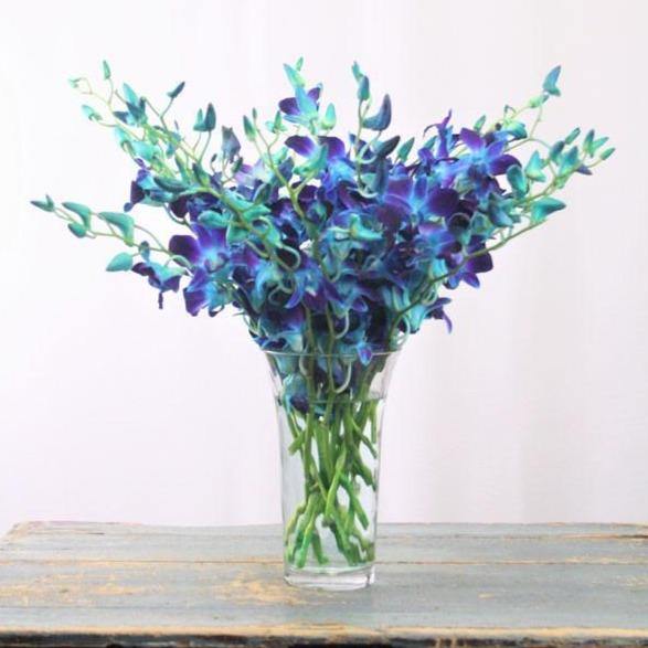 Blue Orchid Bouquet with dendrobium orchids in clear flared glass vase.