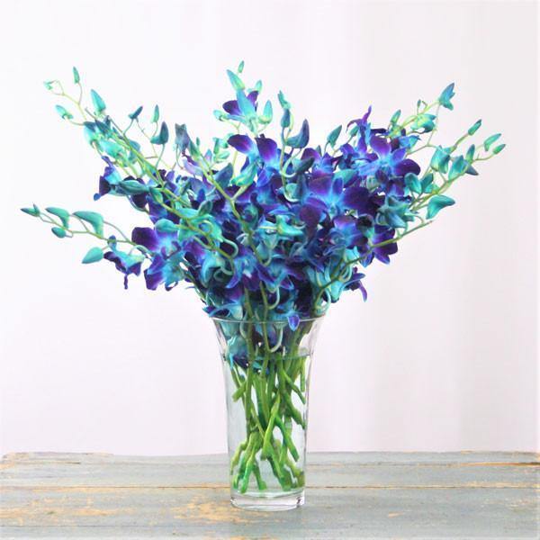 Blue Orchid Bouquet with dendrobium orchids in clear flared glass vase.