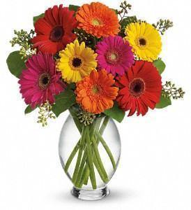 Bouquet of one dozen mixed-color Gerbera daisies arranged in a clear glass vase