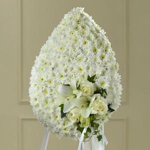 Teardrop - The Solace??Teardrop J-S2-4981