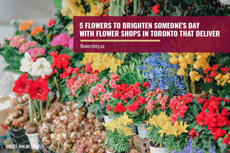 5 Flowers to Brighten Someone's Day with Flower Shops in Toronto that Deliver