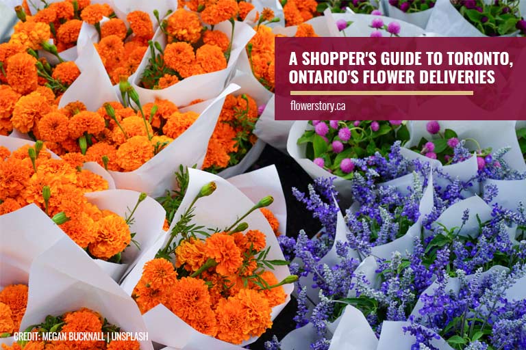 A Shopper's Guide to Toronto, Ontario's Flower Deliveries