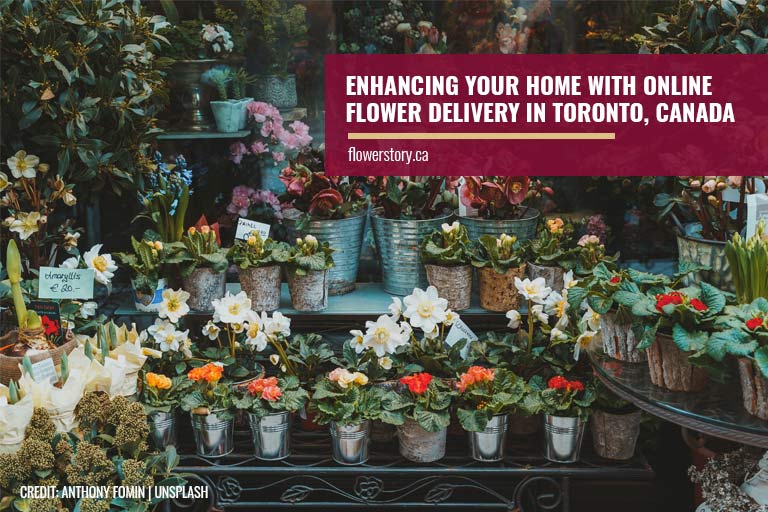 Enhancing Your Home with Online Flower Delivery in Toronto, Canada
