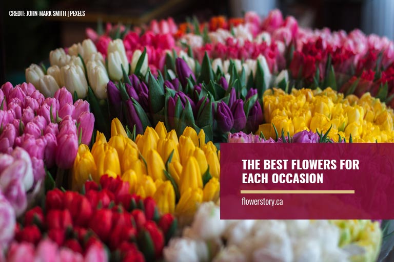 The Best Flowers for Each Occasion