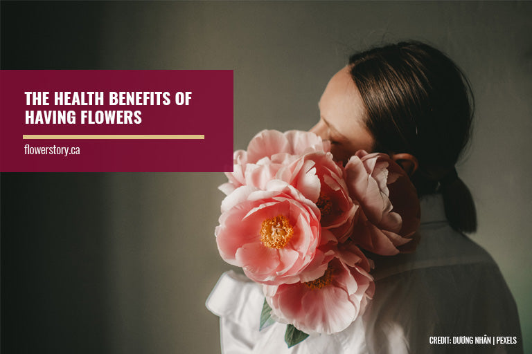 The Health Benefits of Having Flowers