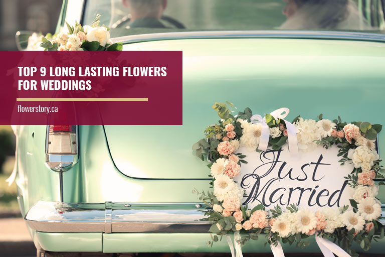 Top 9 Long Lasting Flowers for Weddings