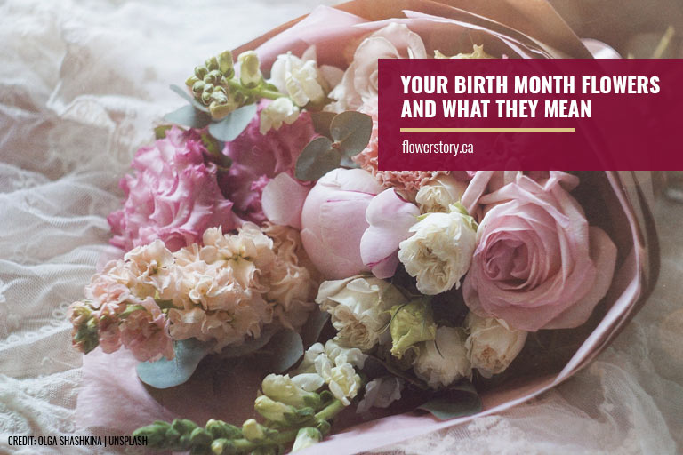 Your Birth Month Flowers and What They Mean