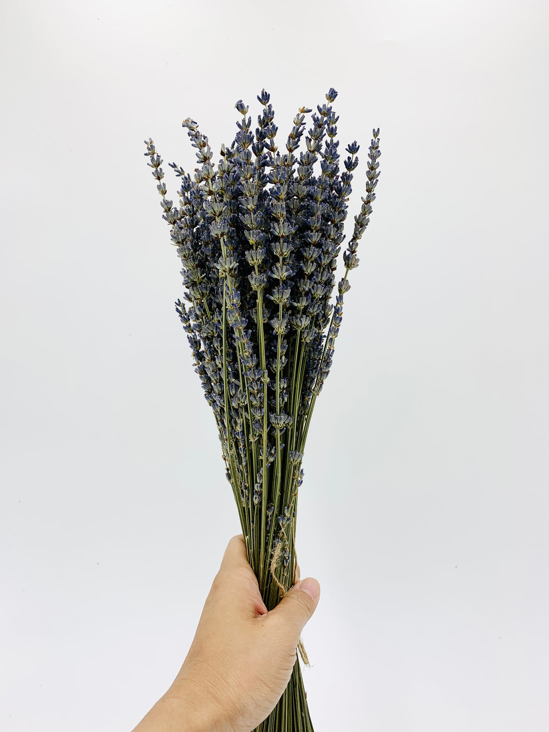 Spruce Up Your Home with Dry Lavender Flowers - Flower Story