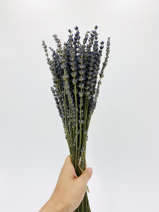 Spruce Up Your Home with Dry Lavender Flowers - Flower Story