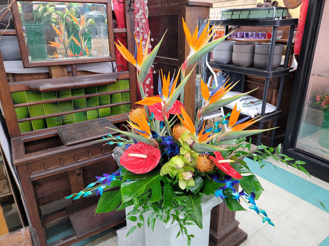 We Design Tropical Arrangements Too - Flower Story