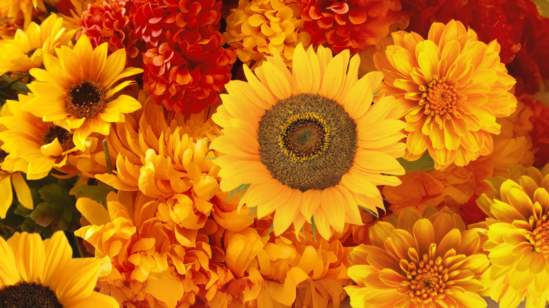 Shop Fall's Best Blooms for doorstep delivery in Toronto
