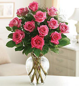One Dozen Roses In Vase With Baby's Breath - Flower Story