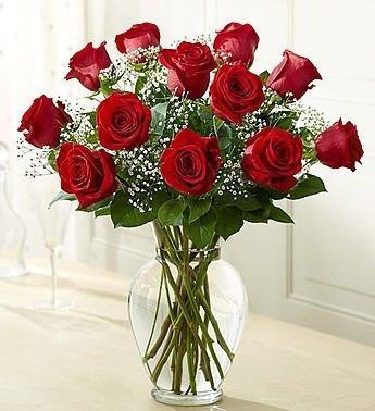 Valentine One Dozen Roses In Vase With Baby's Breath - Flower Story