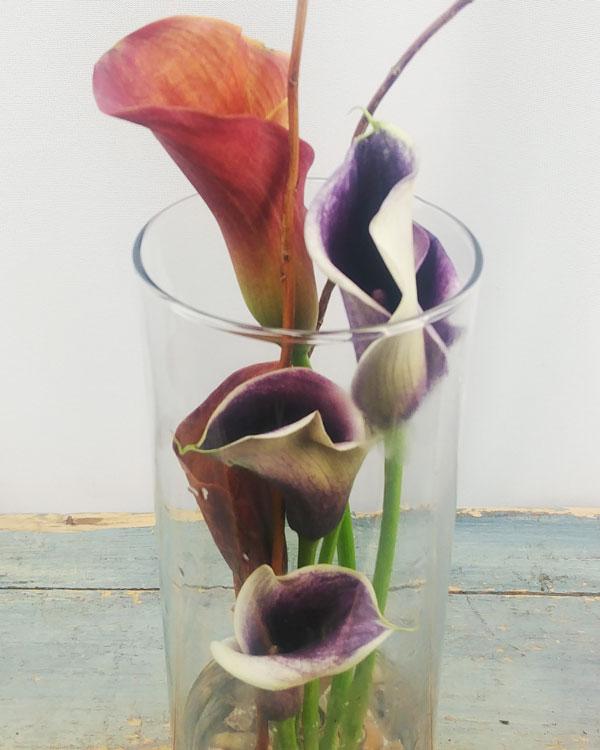 ZEN-SERENITY - Flower Story