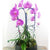 Custom Design  Planter Garden - 1 (Orchids & Succulents) - Flower Story