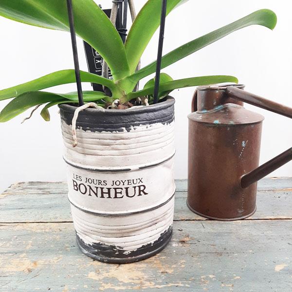 Orchid Garden Planter - 1 - Flower Story