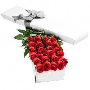 Two Dozen Boxed Roses (Red, Pink, Rainbow, Blue, Purple, Mixed, White, Yellow) - Flower Story