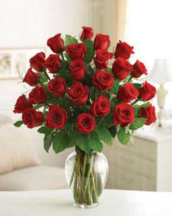 TWO DOZEN RED ROSE BOUQUET - Flower Story