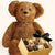 Bear with Chocolates - Flower Story