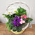 Blooming Garden 1 (Potted Plants)