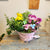 Blooming Garden 2 (Potted Plants)
