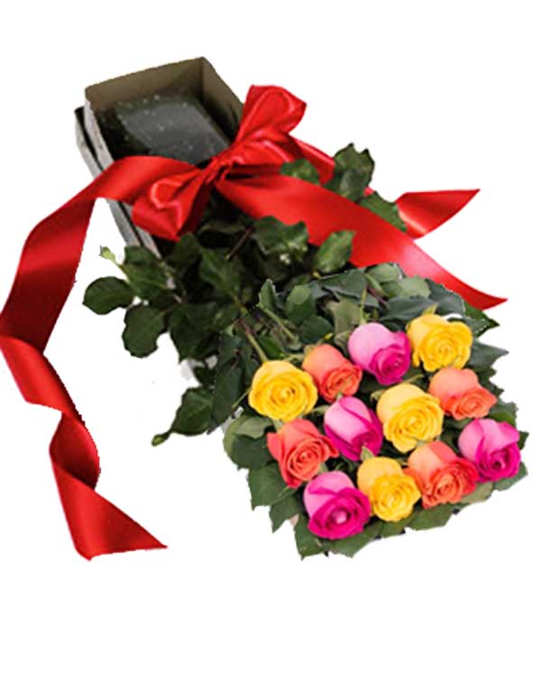Dozen Boxed Premium Roses – 12 mult-color long-stemmed roses in elegant rose box.