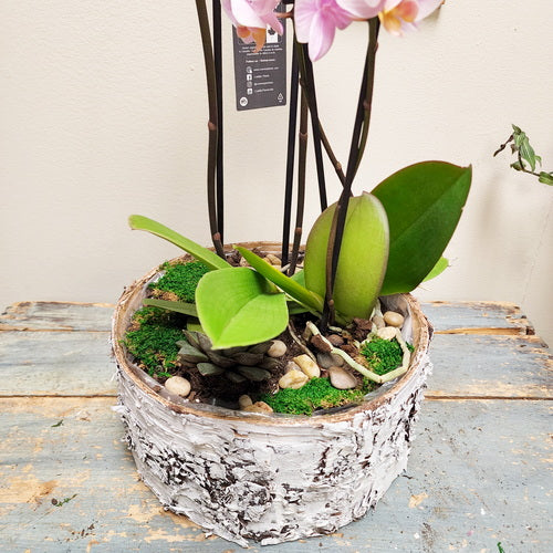 Eco - Garden LTD3