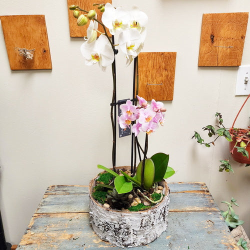 Eco - Garden LTD3