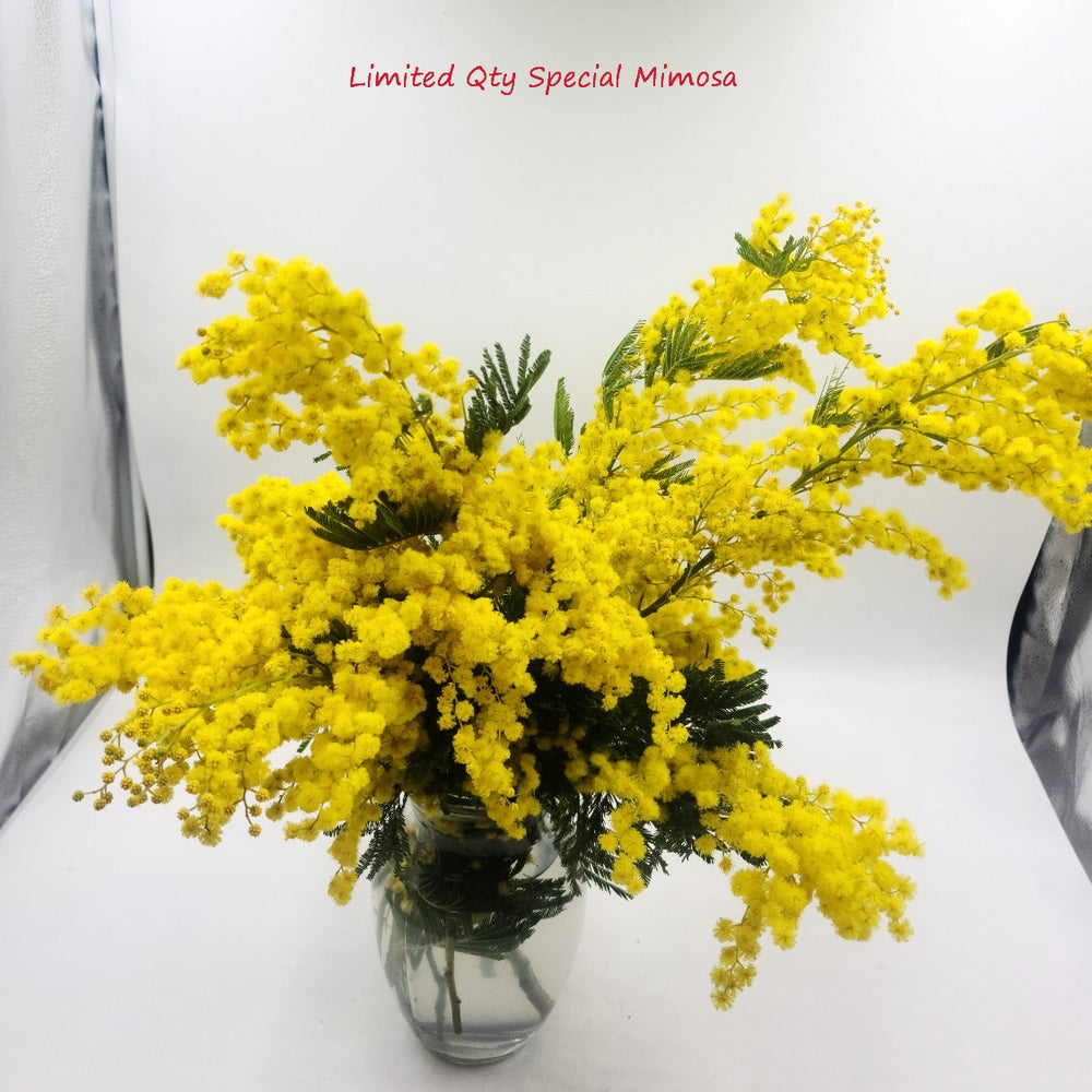 International Women's Day Special ( MIMOSA BOUQUET)