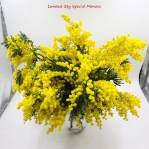 International Women's Day Special ( MIMOSA BOUQUET)