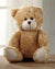 Ultra Adorable Teddy Bear Soft Toy