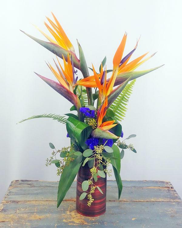 TROPICAL CELEBRATIONS BOUQUET - Flower Story