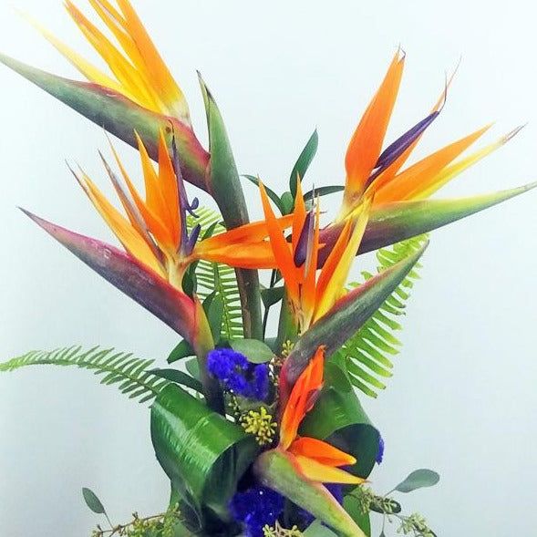 TROPICAL CELEBRATIONS BOUQUET - Flower Story