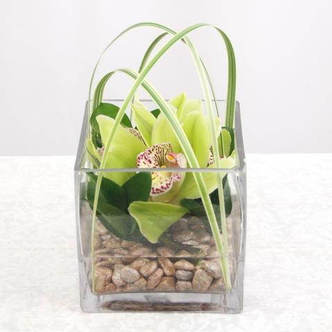 ZEN-TRANQUILITY (Desktop Size) - Flower Story