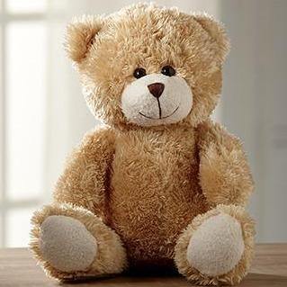 Add-ons - Adorable Stuffed Bear