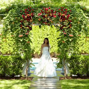 Archway - The Arbor Of Love??Archway J-W48-4739