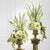 Arrangement - The Classic White??Arrangement J-W10-4641