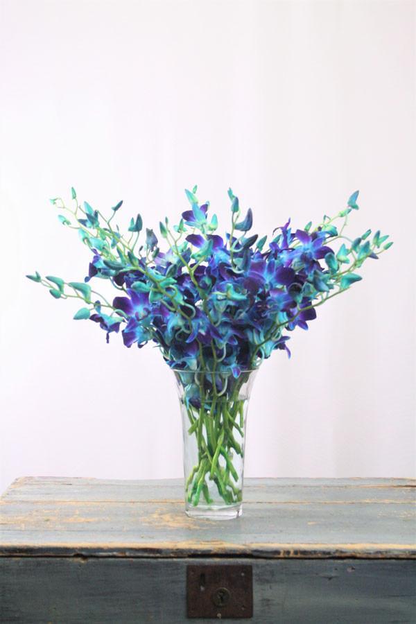 Valentine Blue Orchid Bouquet - Flower Story