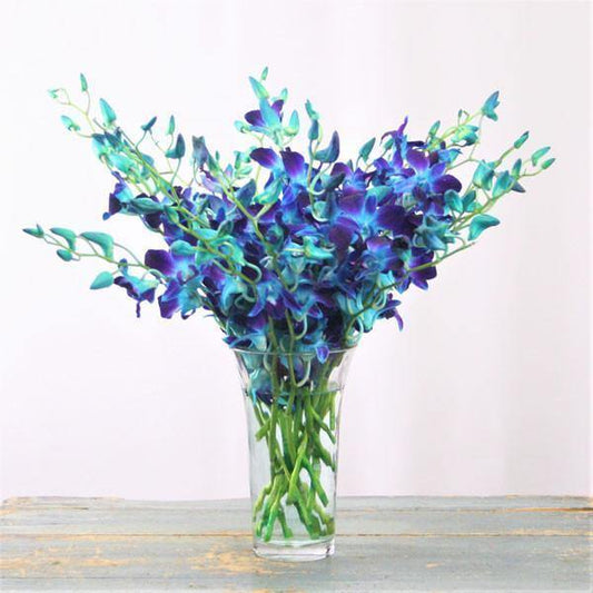 Blue Orchid Bouquet with dendrobium orchids in clear flared glass vase.