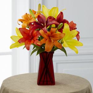 Bouquet - The Happy Thoughts??Bouquet J-B3-4921